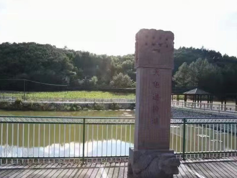 墓园环境