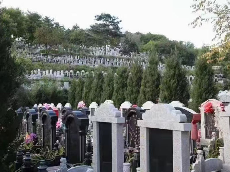 墓园环境